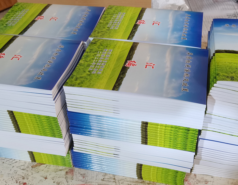 ֽ�ŵĹ⻬��Ӱ��ͼ������