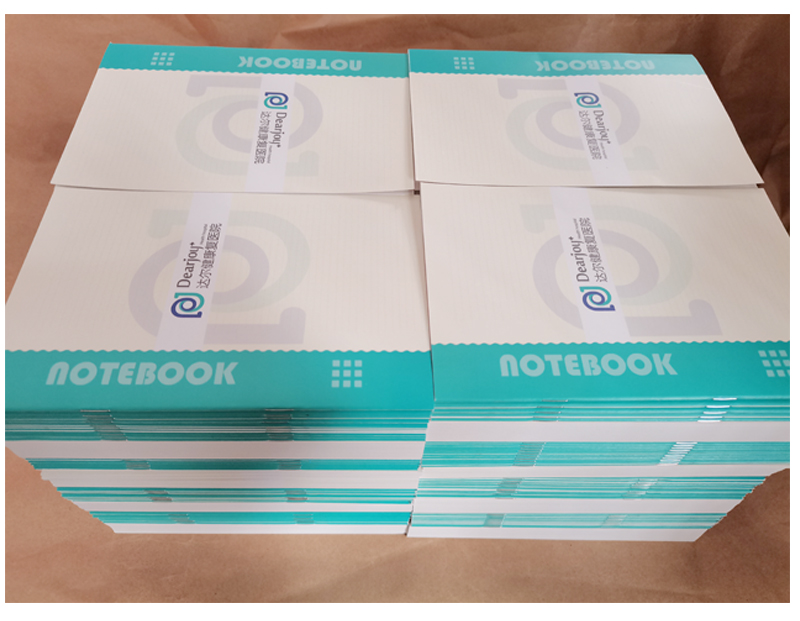 �������ʼǱ�